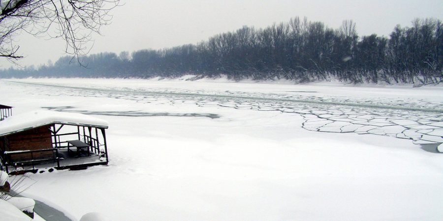 Zale�ena Sava 2012
